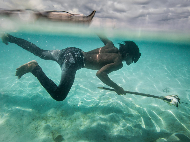 Denizde yaşayan insanlar: Bajaular 12