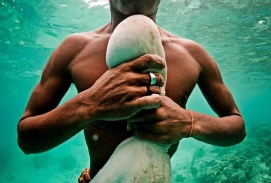 Denizde yaşayan insanlar: Bajaular 14