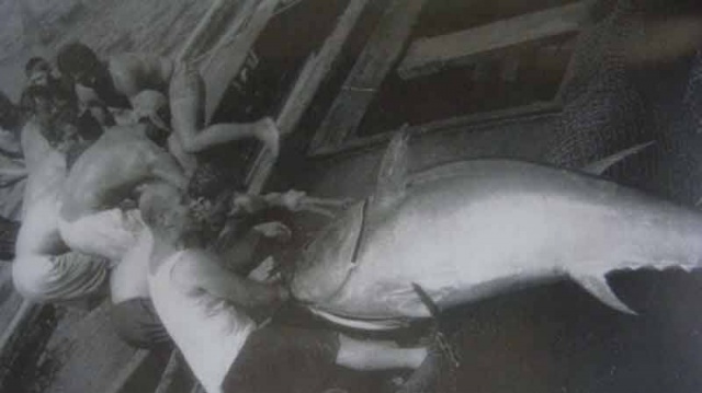 Balık dolu siyah beyaz İstanbul 10