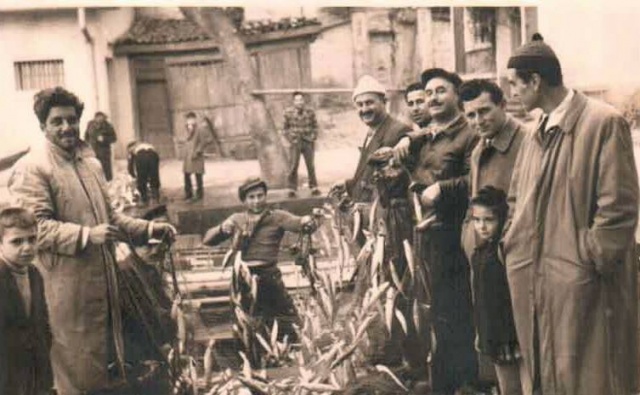 Balık dolu siyah beyaz İstanbul 25