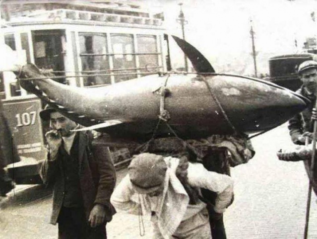 Balık dolu siyah beyaz İstanbul 30