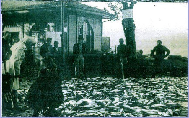 Balık dolu siyah beyaz İstanbul 32