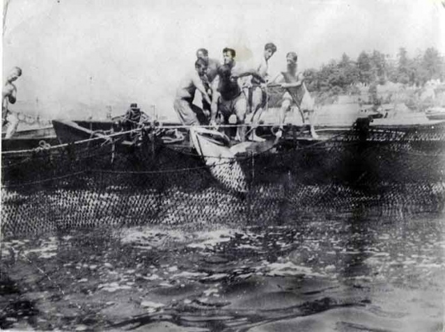 Balık dolu siyah beyaz İstanbul 34