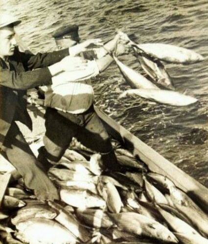 Balık dolu siyah beyaz İstanbul 44