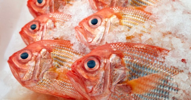 Türkiye'de denemesi gereken en lezzetli 10 balık 4