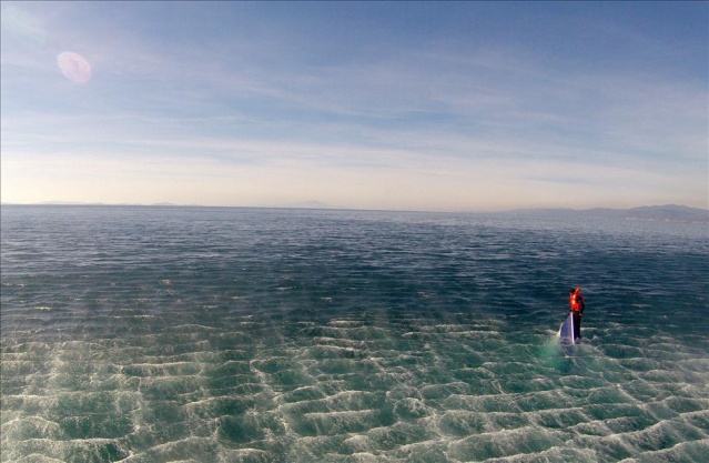 "Burun farkıyla" hayatta kaldı 2