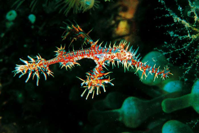 Derinlerin evreninden ilgin kareler 7