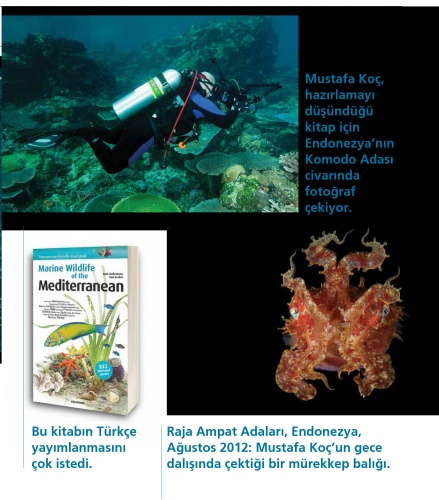 Mavi gözlü denizci Mustafa Koç, VİRA sayfalarına kazındı 8