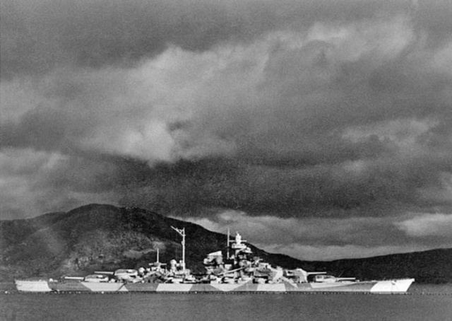 Denizlerin efendilerinin şaşırtan kamuflajları 28