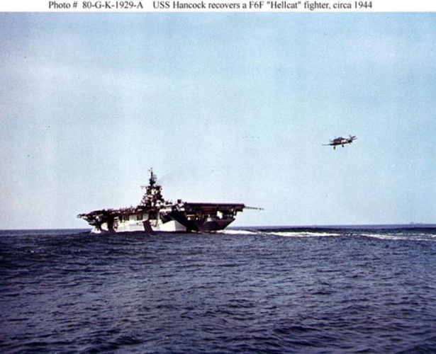 Denizlerin efendilerinin şaşırtan kamuflajları 29