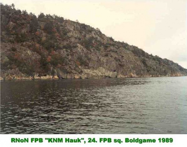 Denizlerin efendilerinin şaşırtan kamuflajları 3