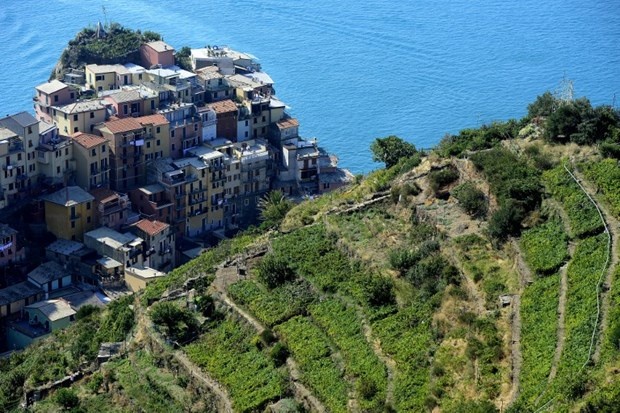 Cinque Terre'nin güzelliği başına dert açtı 1