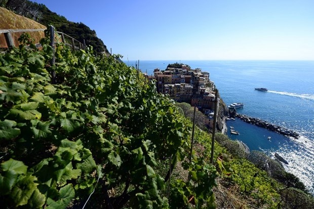 Cinque Terre'nin güzelliği başına dert açtı 3