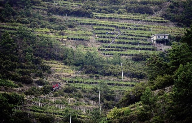 Cinque Terre'nin güzelliği başına dert açtı 7