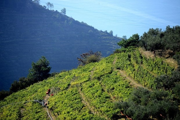 Cinque Terre'nin güzelliği başına dert açtı 8