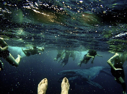 Bakın denizden neler çıkıyor 19