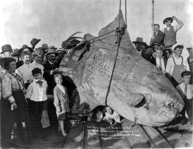Bakın denizden neler çıkıyor 24