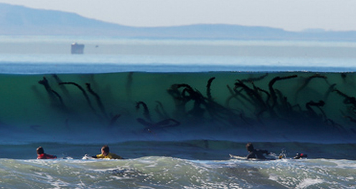 Denize girmeden önce iki kere düşünün 15