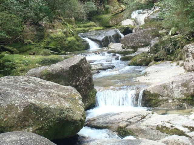Görenleri büyülüyor 13