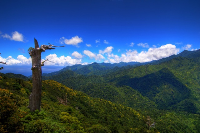 Görenleri büyülüyor 3