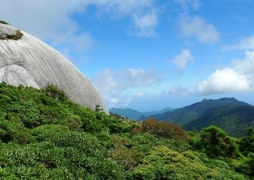 Görenleri büyülüyor 8