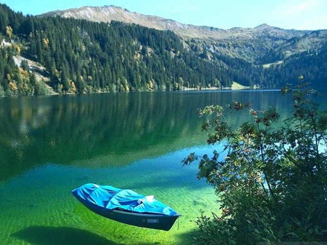 Dibi görmek bu kadar güzel olmamıştı 2