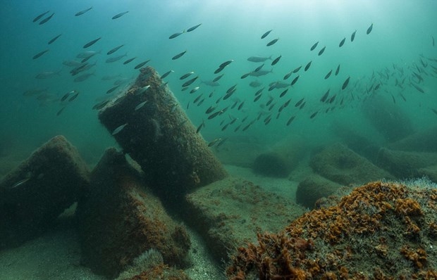 Nil’in Atlantis’i gün ışığına çıktı 2