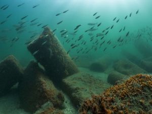 Nil’in Atlantis’i gün ışığına çıktı