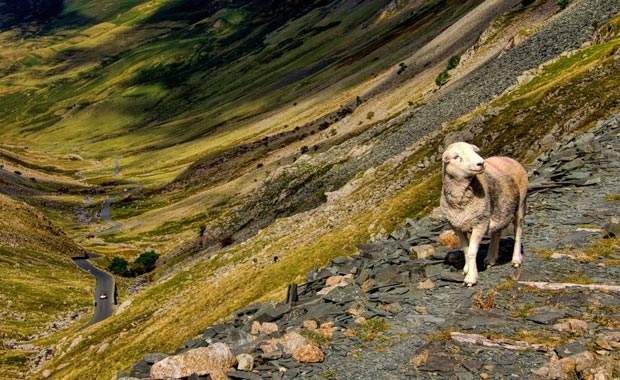 İlham kaynağı cennet şehir 16