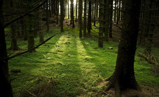 İlham kaynağı cennet şehir 3