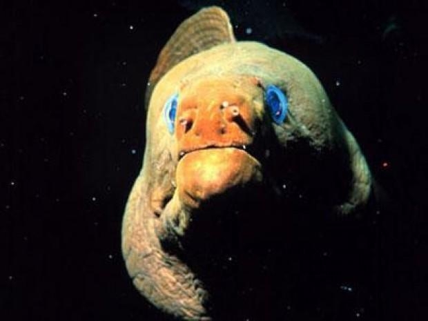 Görenleri şaşkına çeviriyor 15