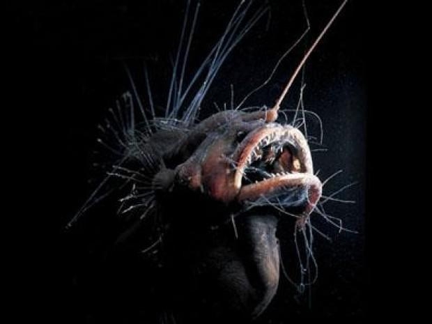 Görenleri şaşkına çeviriyor 7