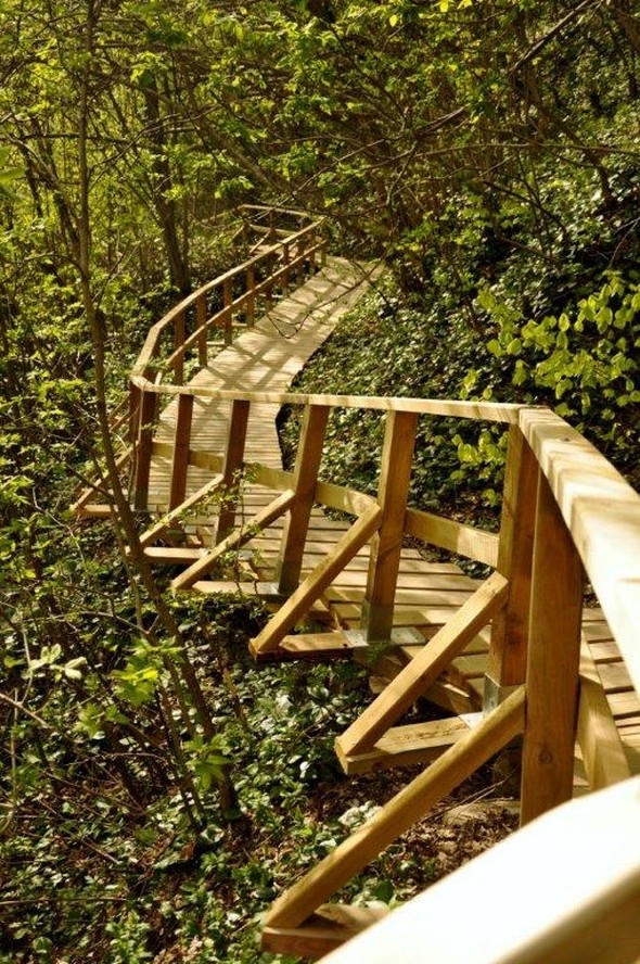 Keşfedileli sadece 19 yıl oldu 6