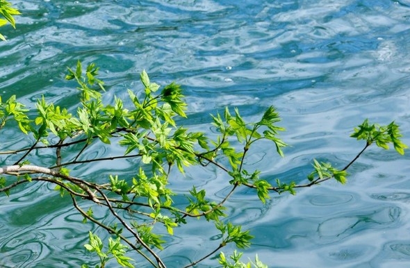 Keşfedileli sadece 19 yıl oldu 9