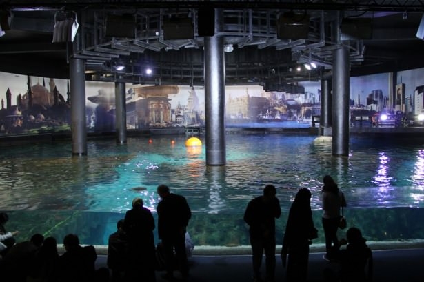 Okyanusların en zehirli balıkları 16