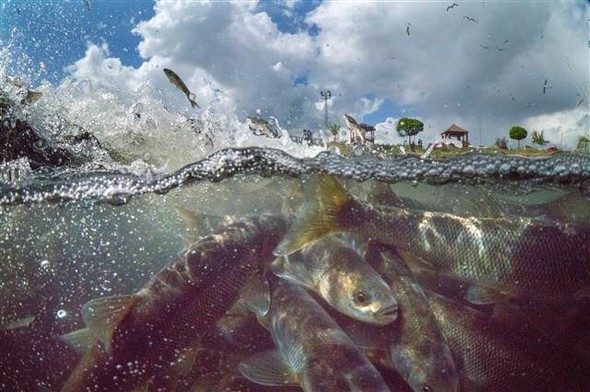 Van Gölü'nde mikrobiyalit alan 11