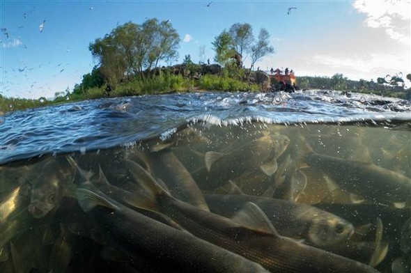 Van Gölü'nde mikrobiyalit alan 5
