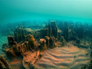 Van Gölü'nde mikrobiyalit alan