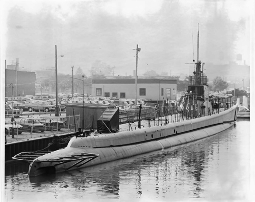 Denizaltı fotoğrafları 11