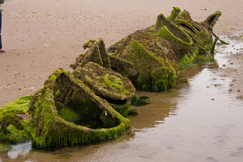 Denizaltı fotoğrafları 8