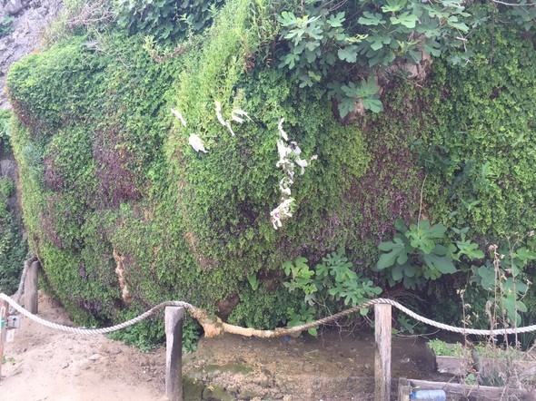 İstanbul'un mavi bayraklı plajları 6