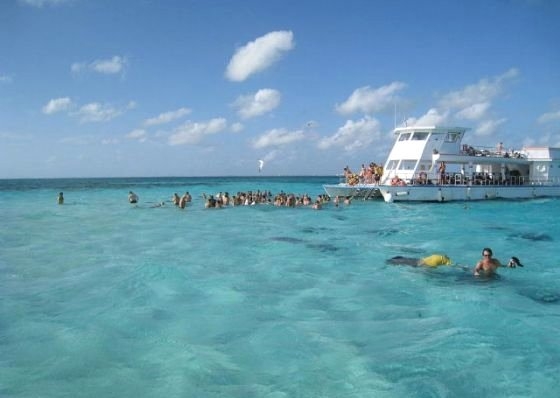 Her şey vatozlarla yüzmek için 12