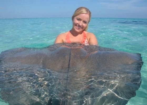 Her şey vatozlarla yüzmek için 15