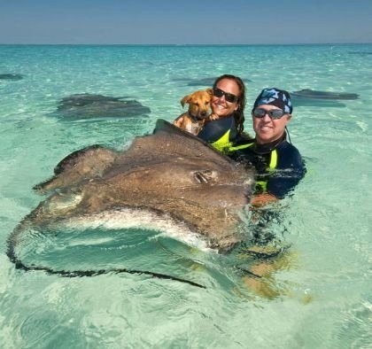 Her şey vatozlarla yüzmek için 2