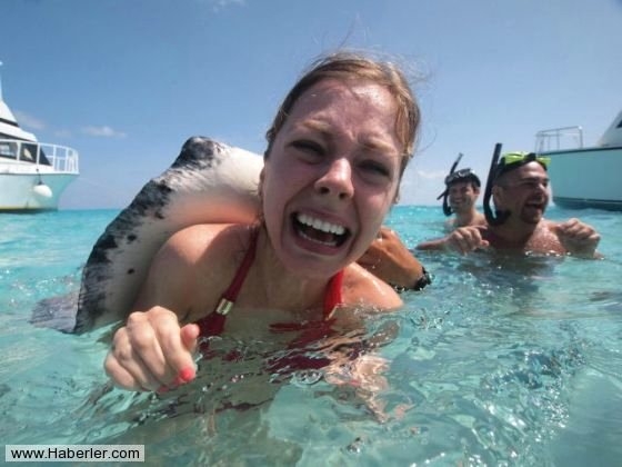 Her şey vatozlarla yüzmek için 4