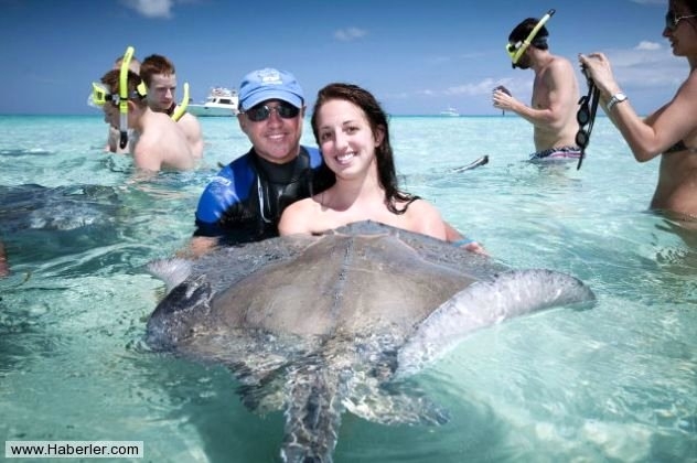 Her şey vatozlarla yüzmek için 5