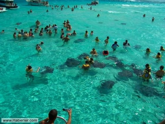 Her şey vatozlarla yüzmek için 7
