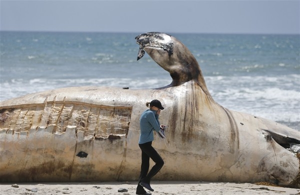 Sahile öyle bir şey vurdu ki 2