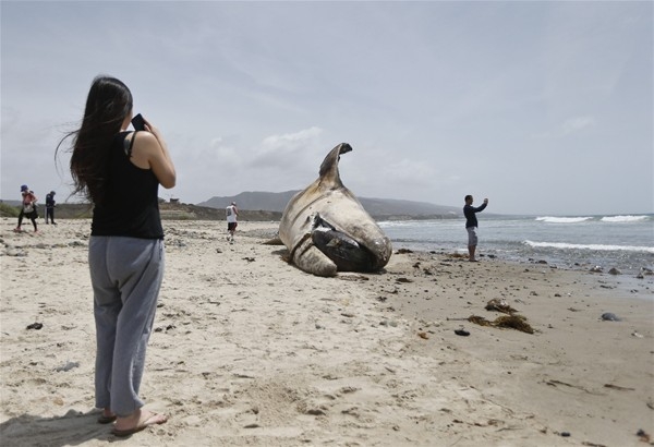 Sahile öyle bir şey vurdu ki 3