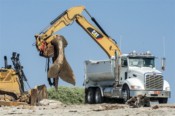 Sahile öyle bir şey vurdu ki 9